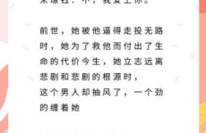 女主只想搞事情娱乐圈,女主的搞事传奇