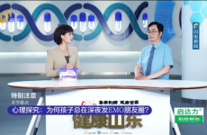 山东卫视直播,精彩瞬间回顾