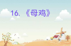 母鸡ppt,从讨厌到敬仰的情感转变