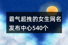 超个性的网名,揭秘超拽个性网名的魅力与创意